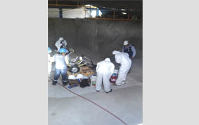 imagen1