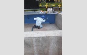 imagen1