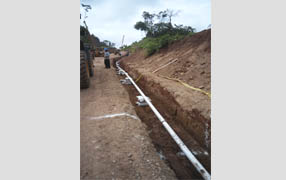 imagen1