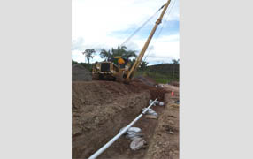 imagen1