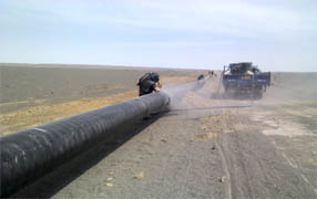 imagen1