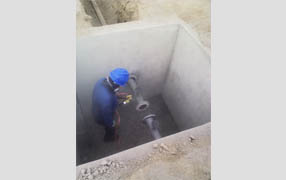 imagen1