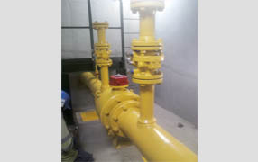 imagen1