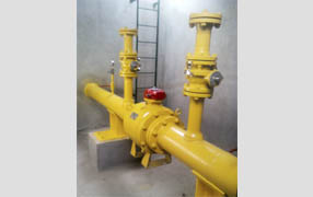 imagen1